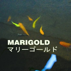 AIMYON (あいみょん) - MARIGOLD (マリーゴールド)| Piano Cover by Angeline Alexander