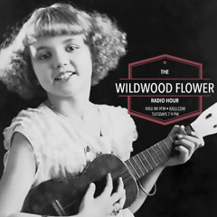 Show #100 1.7.24 with JEMS, the 4th of July Bluegrass Band, Guest Host David Elsenbroich