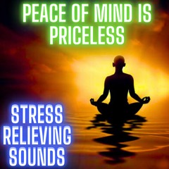 Peace Of Mind Is Priceless