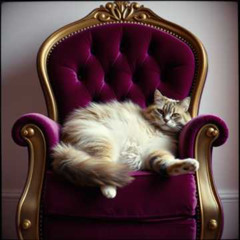 Fat Cat, Lazy Cat! | Dance Groove