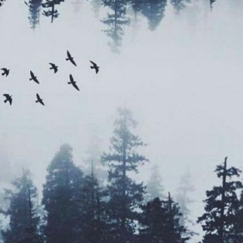 Lullaby