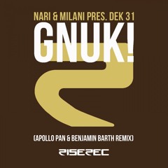 [FREE DOWNLOAD] Nari & Milani - Gnuk! (Apollo Pan & Benjamin Barth Remix)