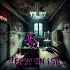 TEDDY ON LSD - DJ CS