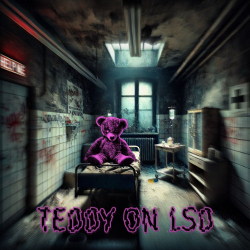 TEDDY ON LSD - DJ CS