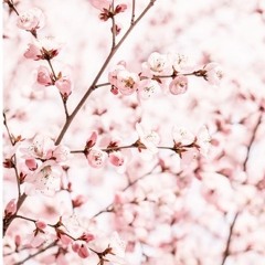 again ft kin (prod ikari)