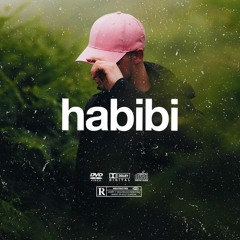 (FREE) | "Habibi" | B Young x Rema x Burna Boy Type Beat | Free Beat | Afrobeat Instrumental 2024