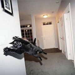 uhh