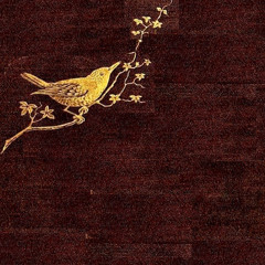 Without You Everything Is Grey