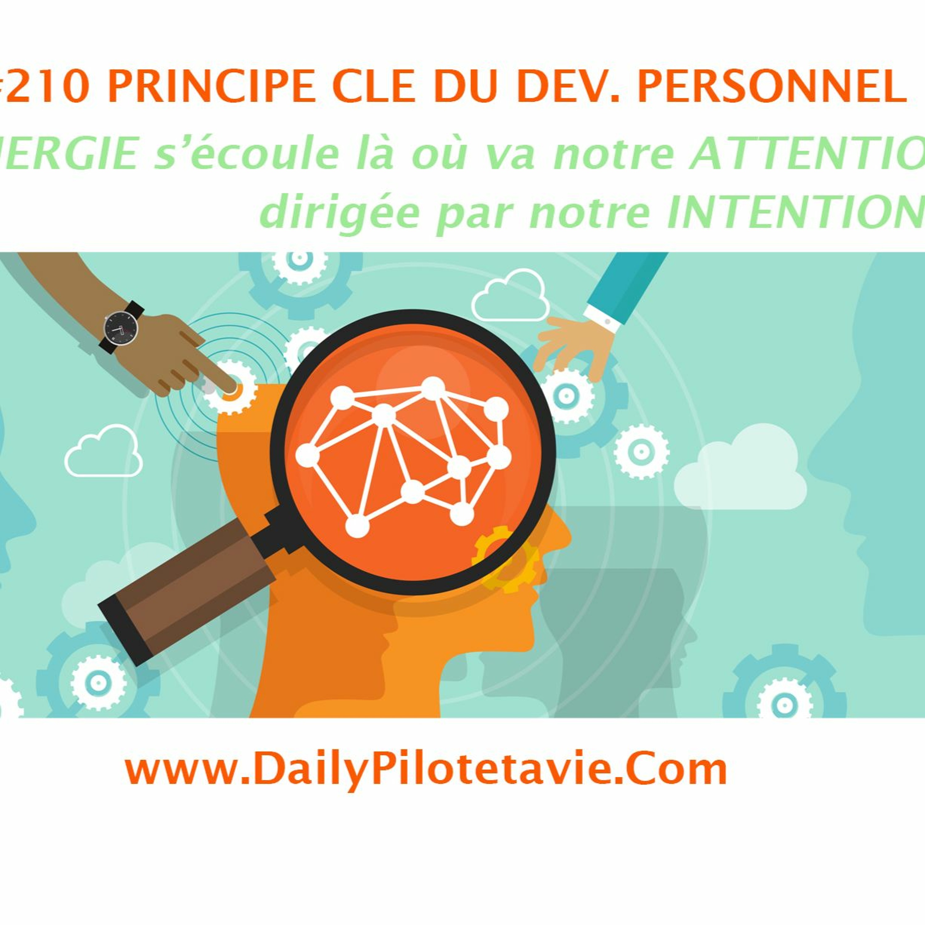 #210 PRINCIPE CLE L'énergie s'écoule là où va notre attention dirigée par notre intention