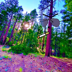 shawty 4 da crew (prod. billyshearz)