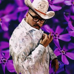 Ache Baez - Violetas