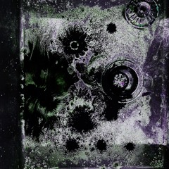 Fracture w/Stezzyxl