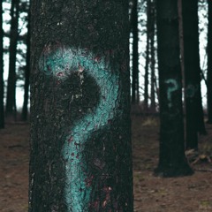 Second Guess