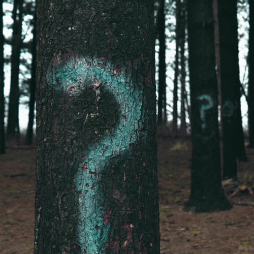 Second Guess