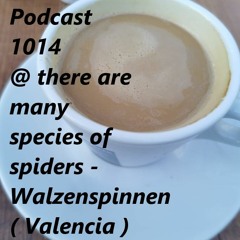 Podcast 1014 @ There Are Many Species Of Spiders - Walzenspinnen ( Valencia ) 23 12 2022