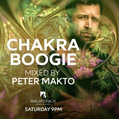 Peter Makto - Chakra Boogie 29