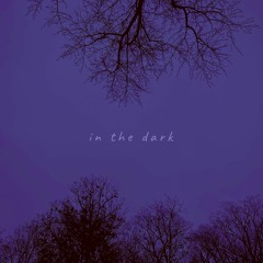 in the dark (original song)