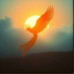 Your soul is guiding you home