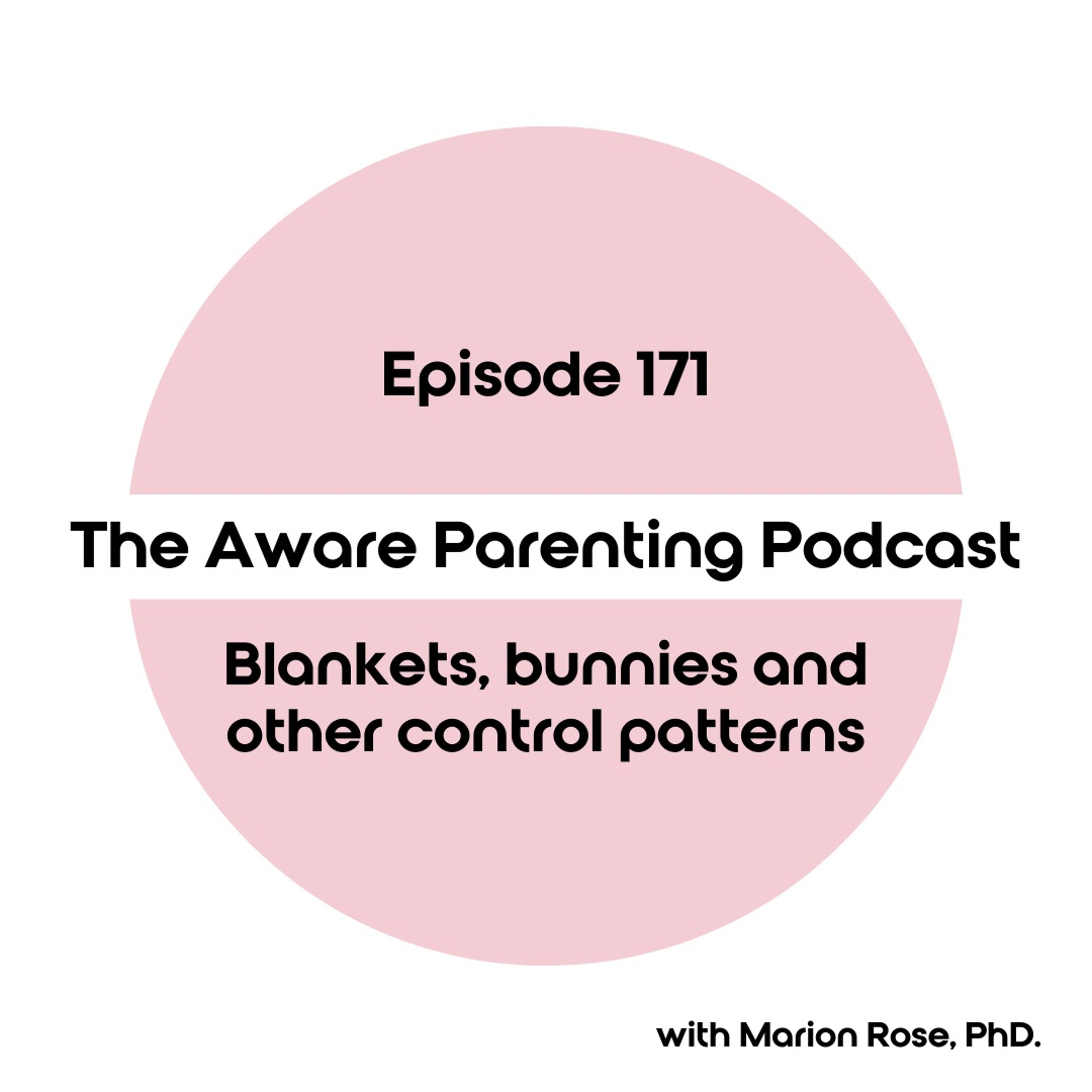 Episode 171: Blankets, bunnies and other control patterns