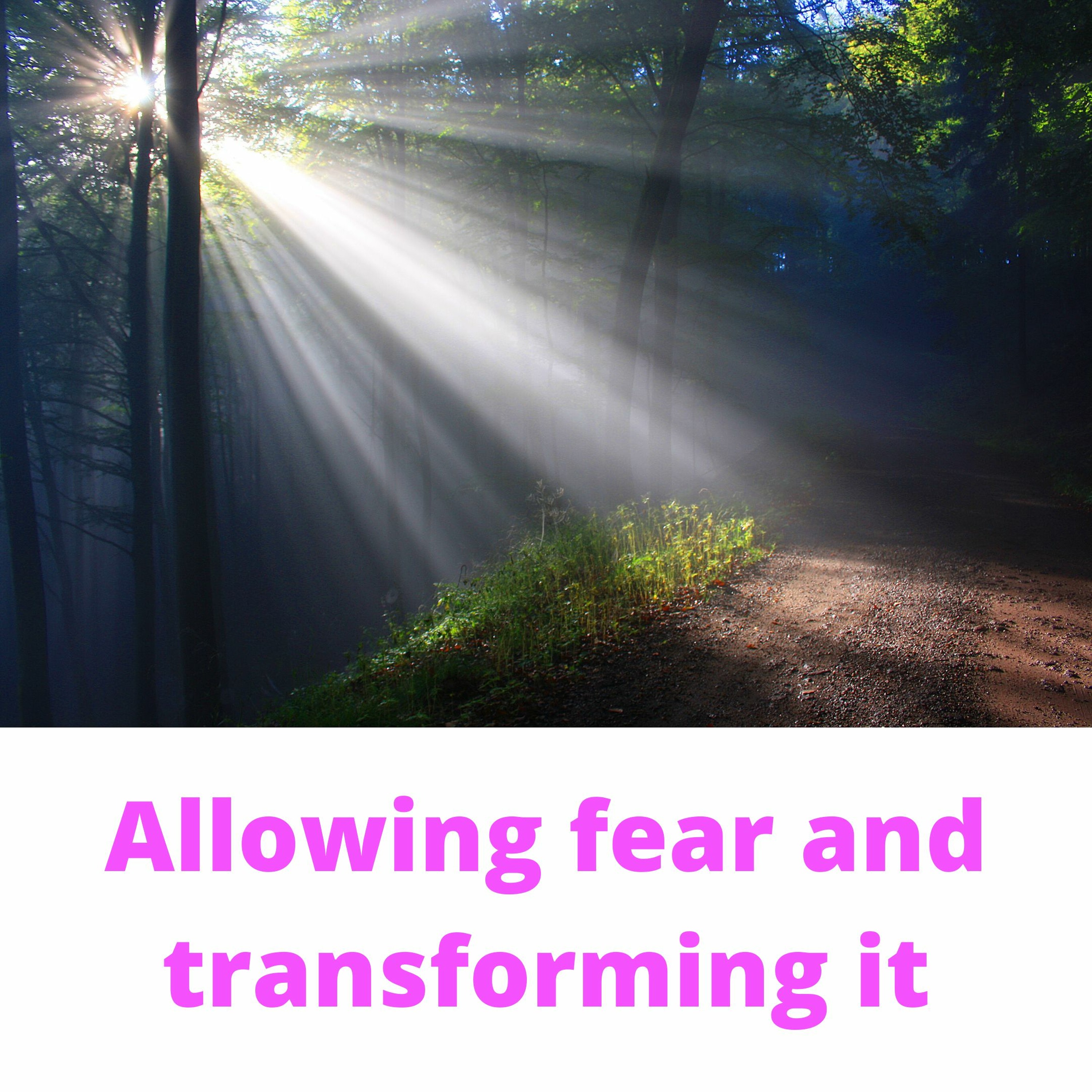 Quantum Consciousness Podcast