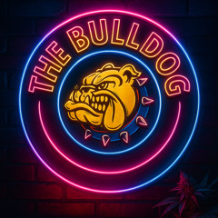 The Bulldog | Trap Instrumental Beat 2025 | Prod. Shake Beatz