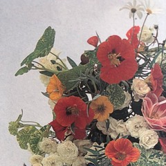 Des bouquets de fleurs pour ton âme