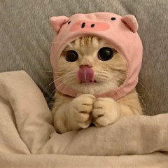 CANT FUCK IT UP - ADAFA x JU5T.mp3