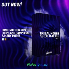 Aurelio Mendes Tribal House Sounds Vol. 2