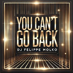 You Can't Go Back - DJ Felippe Molko