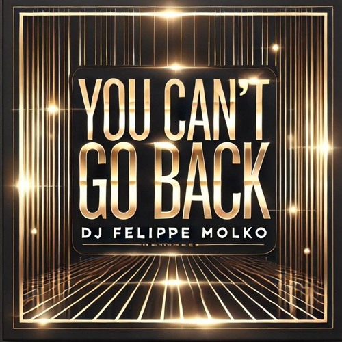 You Can't Go Back - DJ Felippe Molko