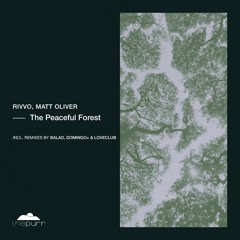 Rivvo, Matt Oliver - The Peaceful Forest (Original Mix)