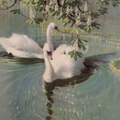 Before the War - Lama House