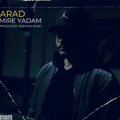 Mire Yadam
