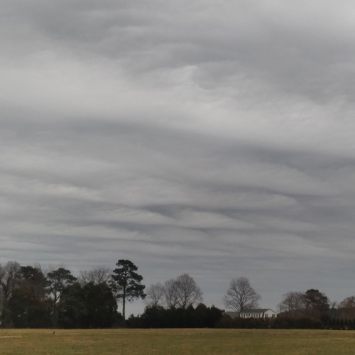 Integrity (prod. Real&Ruthless)