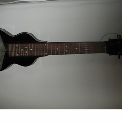 Man met Hawaiian Gitaar