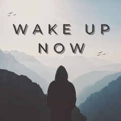 Wake Up Now – Nick Mulvey