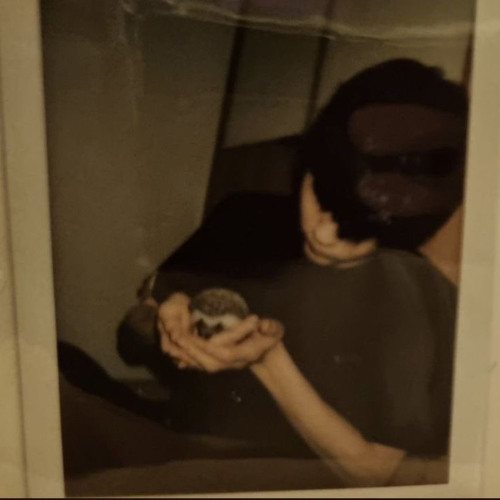 شتريدين يا دنيا .