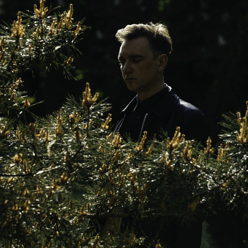 Peter Van Hoesen 120424