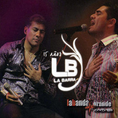 Ando Buscando Un Amor (En Vivo)