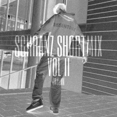 JAYLAN - SCHRANZ SHORTMIX VOL II [412MIX004]