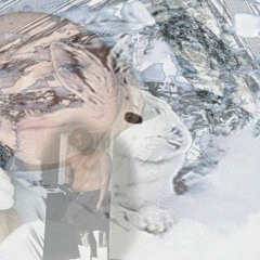 Snow & Bunny