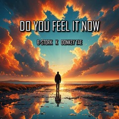 B-Stork X Donkey Tae - Do You Feel It Now (Radio Mix)