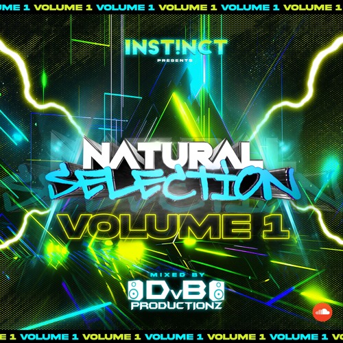 Natural Selection - Volume 1 (Mixed By DvB Productions)