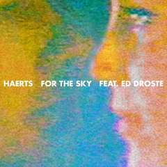 For The Sky (feat. Ed Droste)