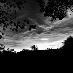 Fabio Firinu - Astrazione / Abstraction