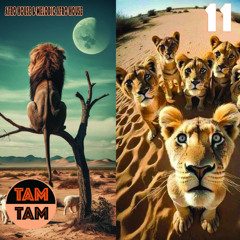 TAM TAM 11 | Afro House & Melodic Afro House