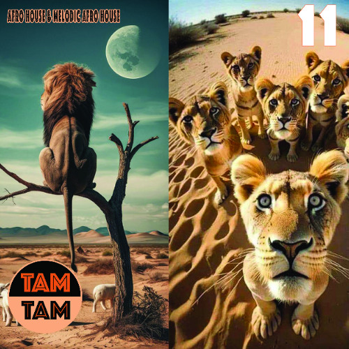 TAM TAM 11 | Afro House & Melodic Afro House