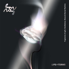 Bademjan & commun des mortels - Magnolias in the Trash [label: Lifeforms]