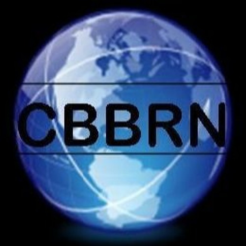 Charlise Williams, Financial Coach And Tax Specialist On CBBN Business Journals