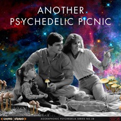 Another Psychedelic Picnic